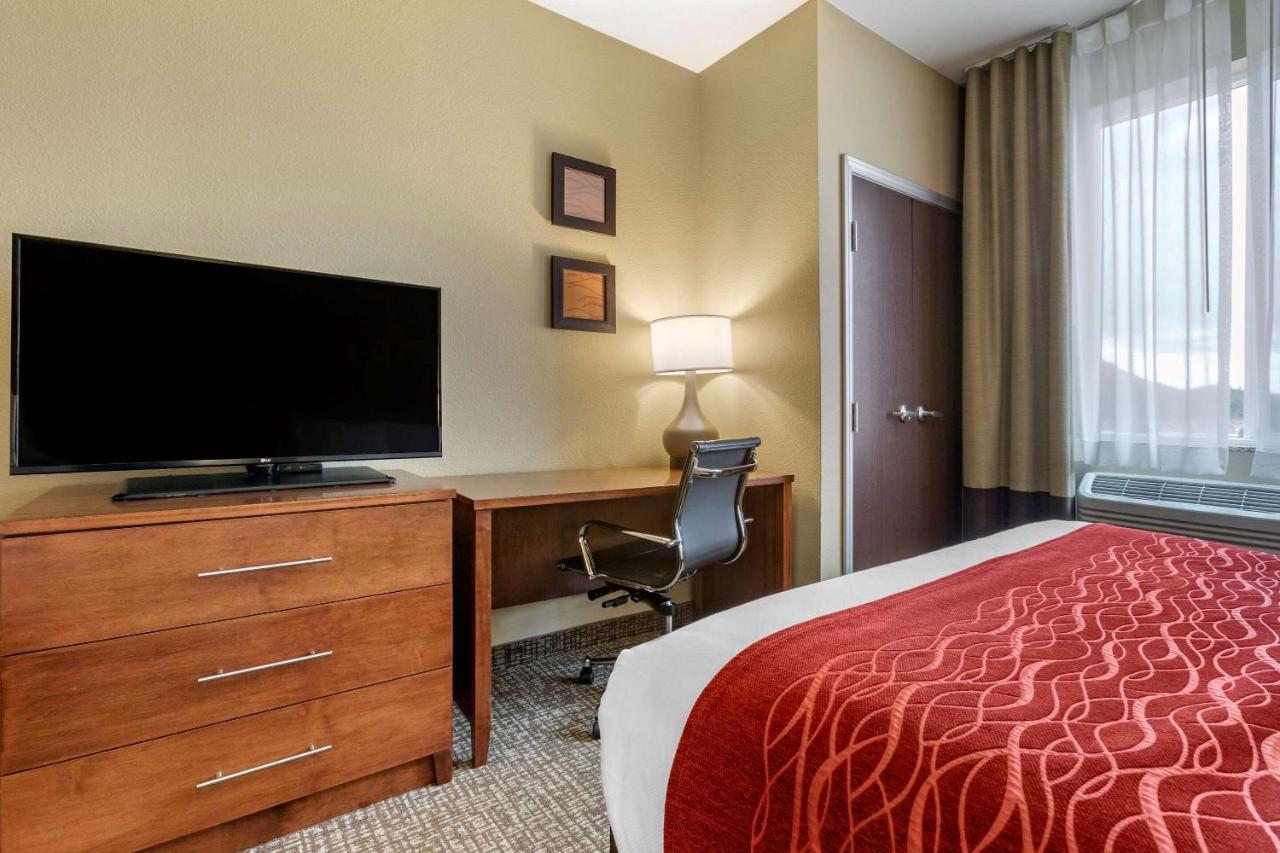 Comfort Inn & Suites Near Mt Rushmore Hill City Bagian luar foto