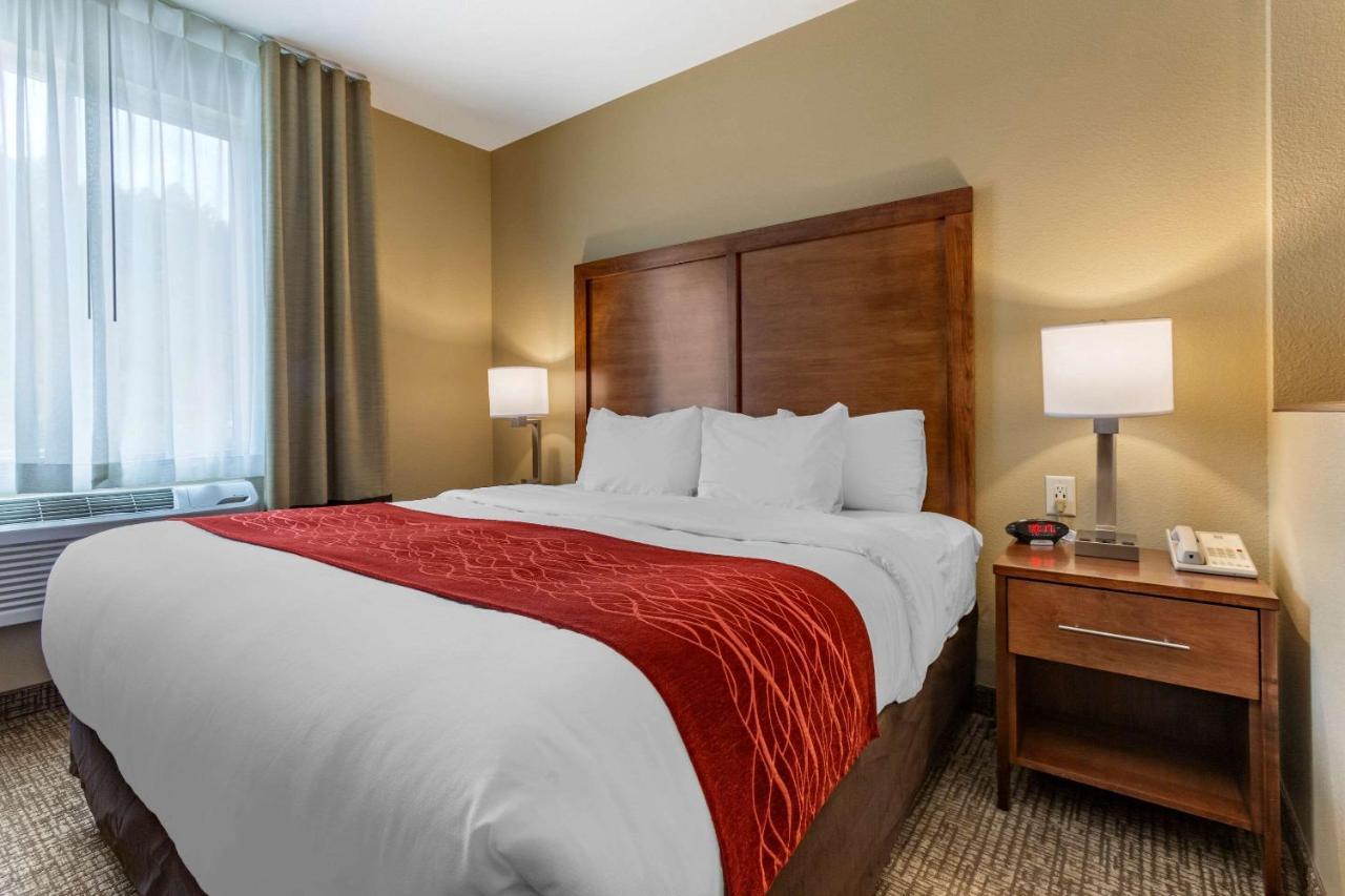 Comfort Inn & Suites Near Mt Rushmore Hill City Bagian luar foto