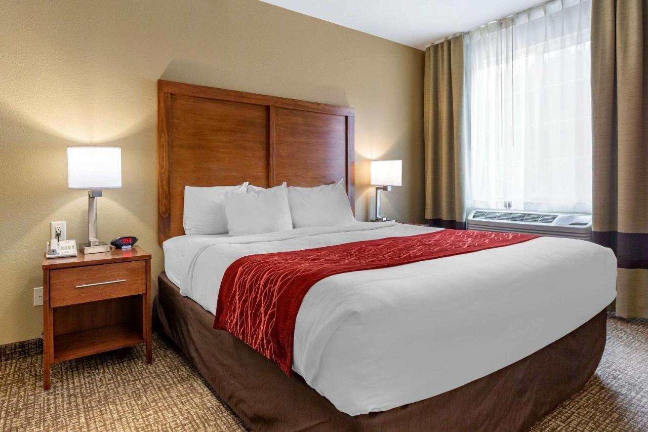 Comfort Inn & Suites Near Mt Rushmore Hill City Bagian luar foto